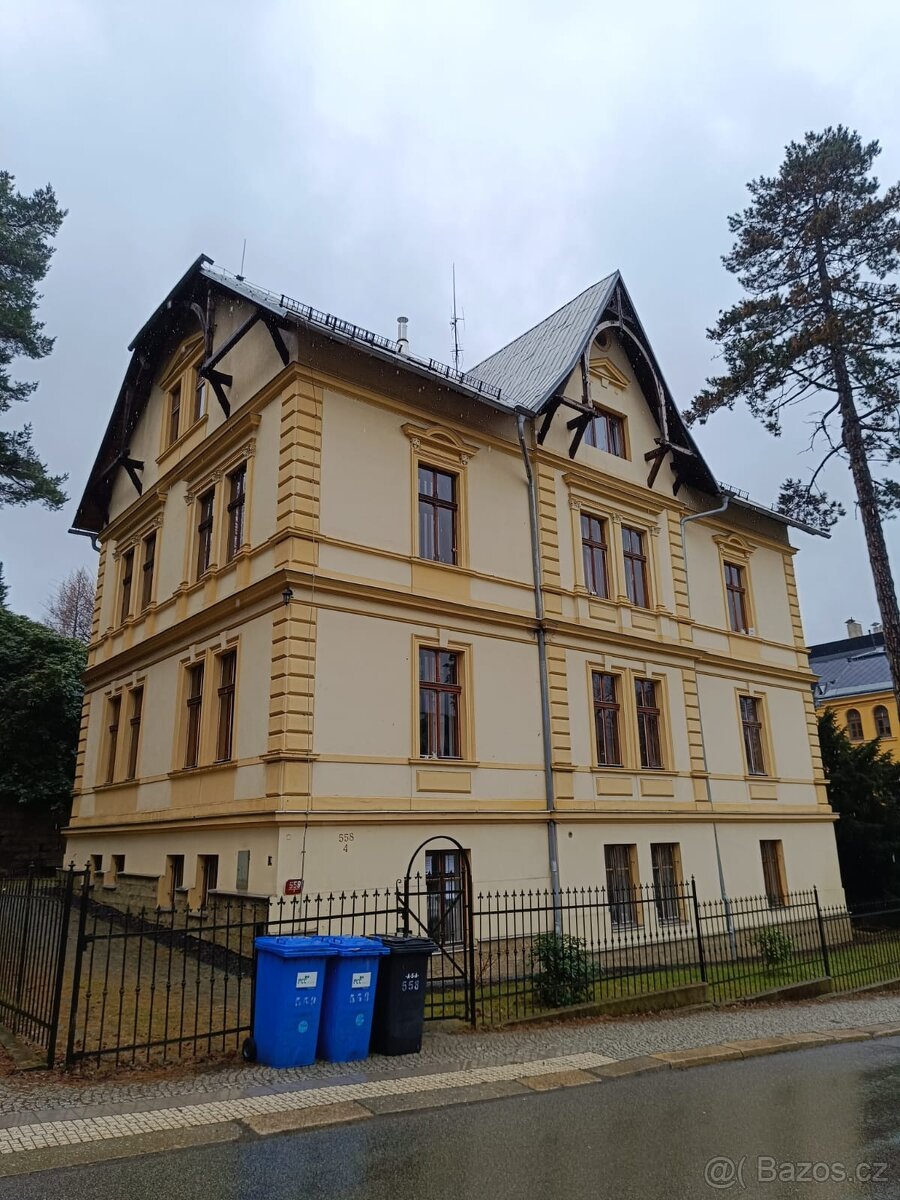 Pronájem bytu 1+1, Klostermannova, Liberec