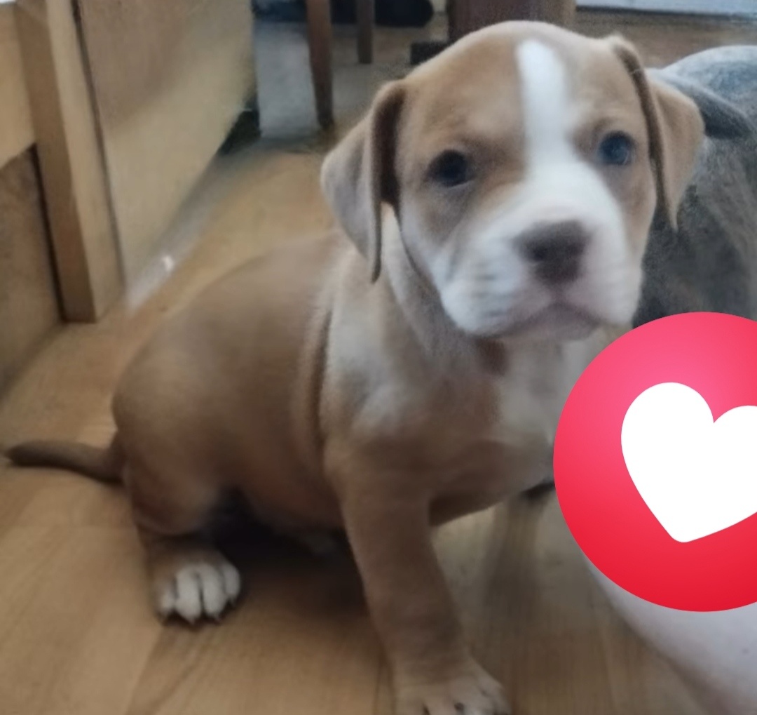 Kluci k zamluvení