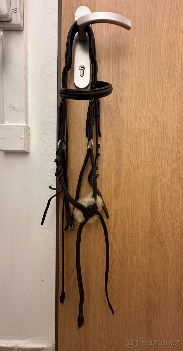 Uzdečka Equestro cob