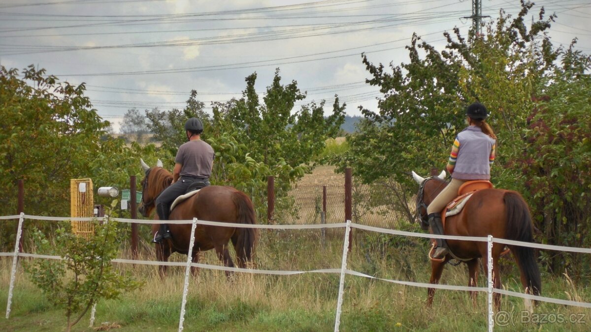 Rodinná stáj hledám investora