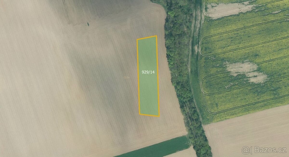 Zemědělská půda, prodej, Dnešice, Plzeň jih