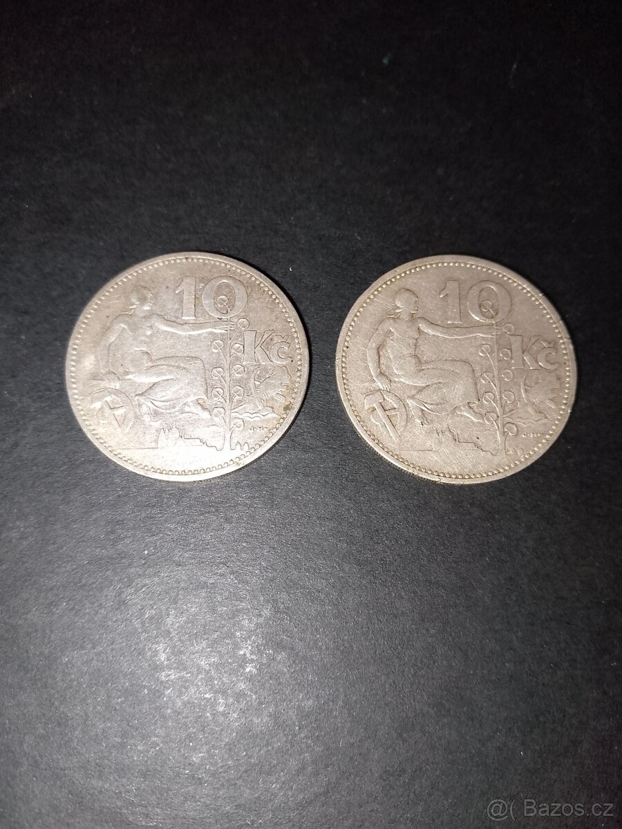 Mince 10 kcs