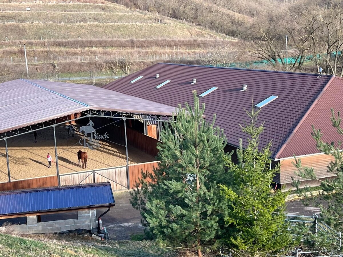 Stájník