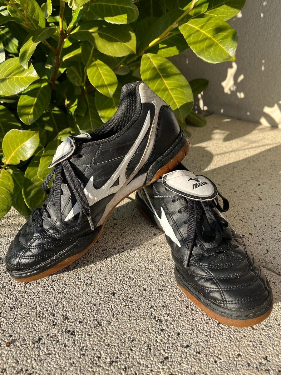 Sálovky Mizuno 40,5