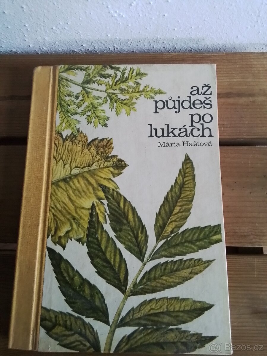 Až půjdeš po lukách,Mária Haštová r. 1967