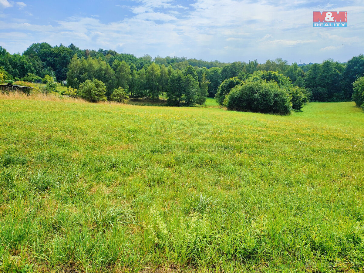 Prodej pozemku k bydlení, 4223 m², Dětmarovice