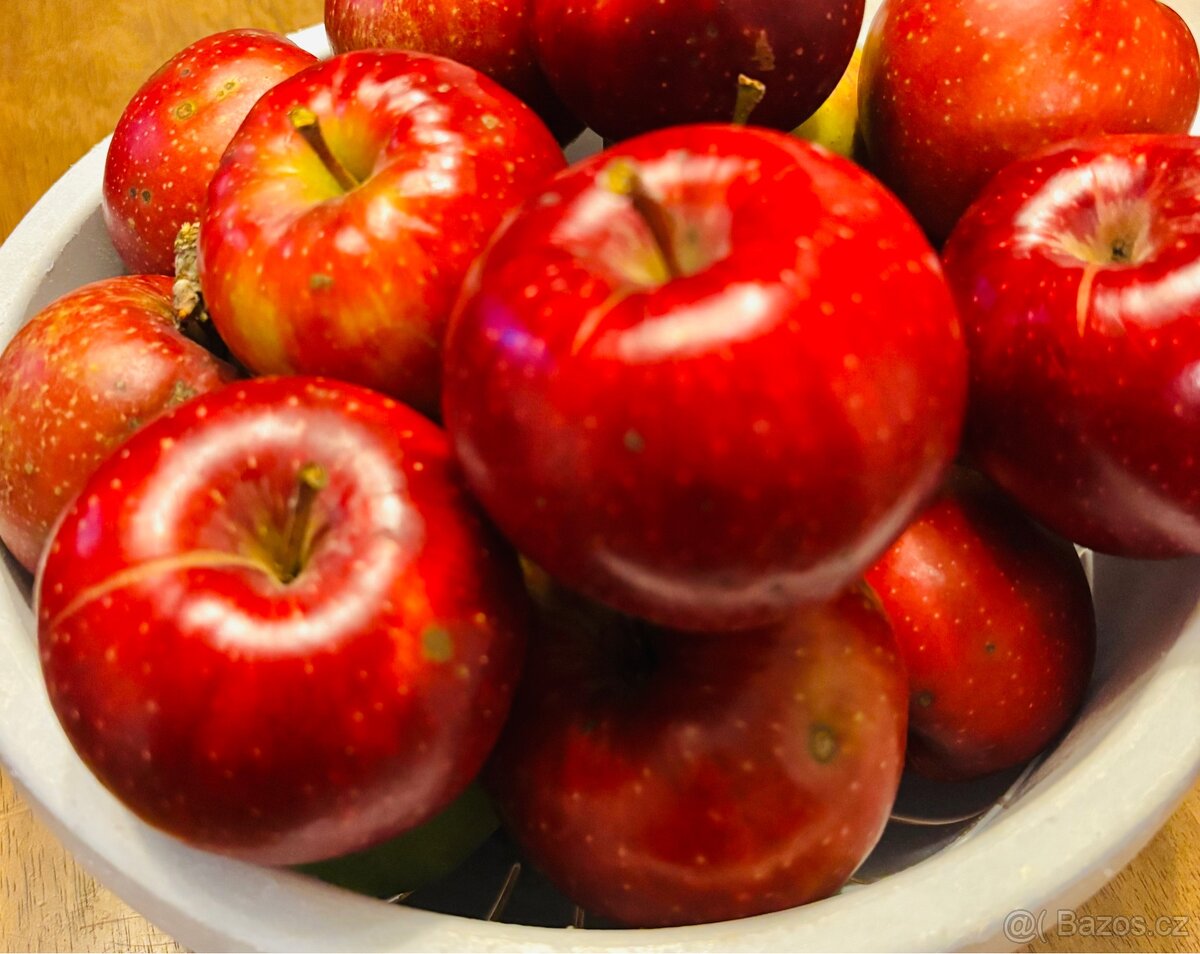 Jablka odrůda Red Prince z malého sadu