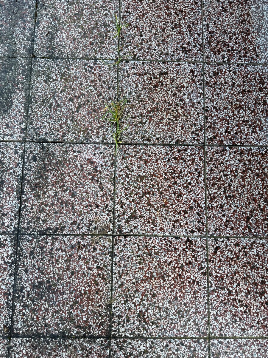 Dlažba 30x30 zdarma