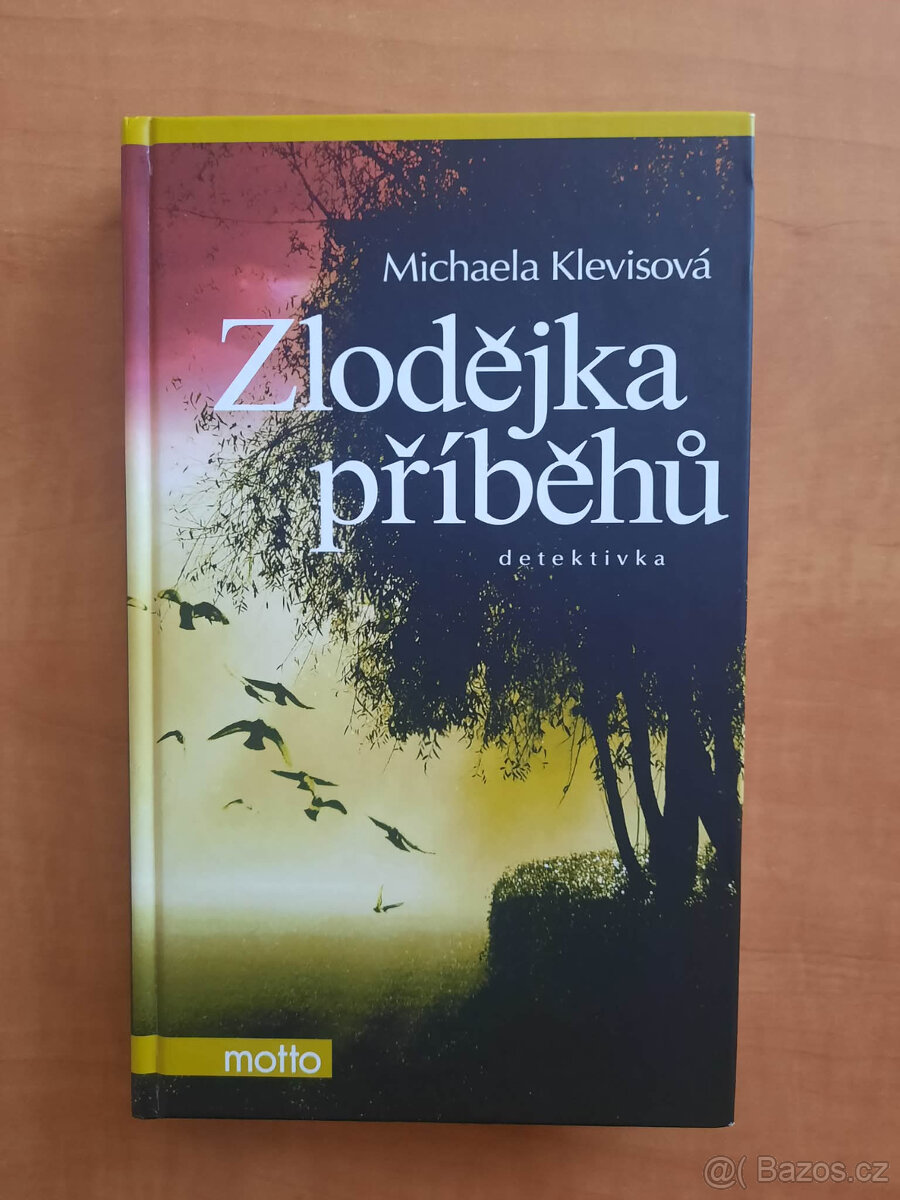 Zlodějka příběhů