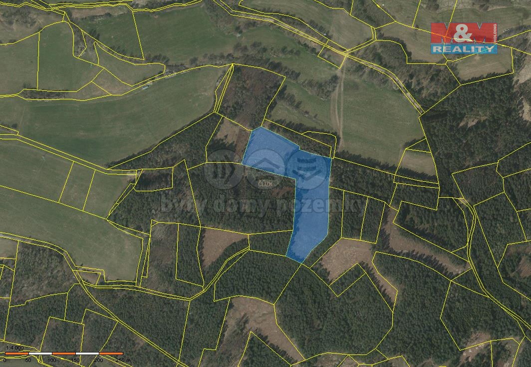 Prodej lesa, 24708 m², Přechovice