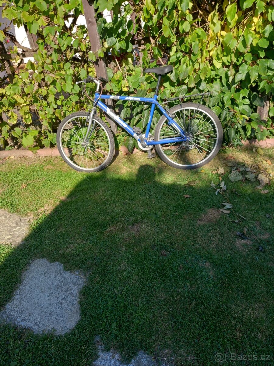 Silniční kolo/kola na prodej