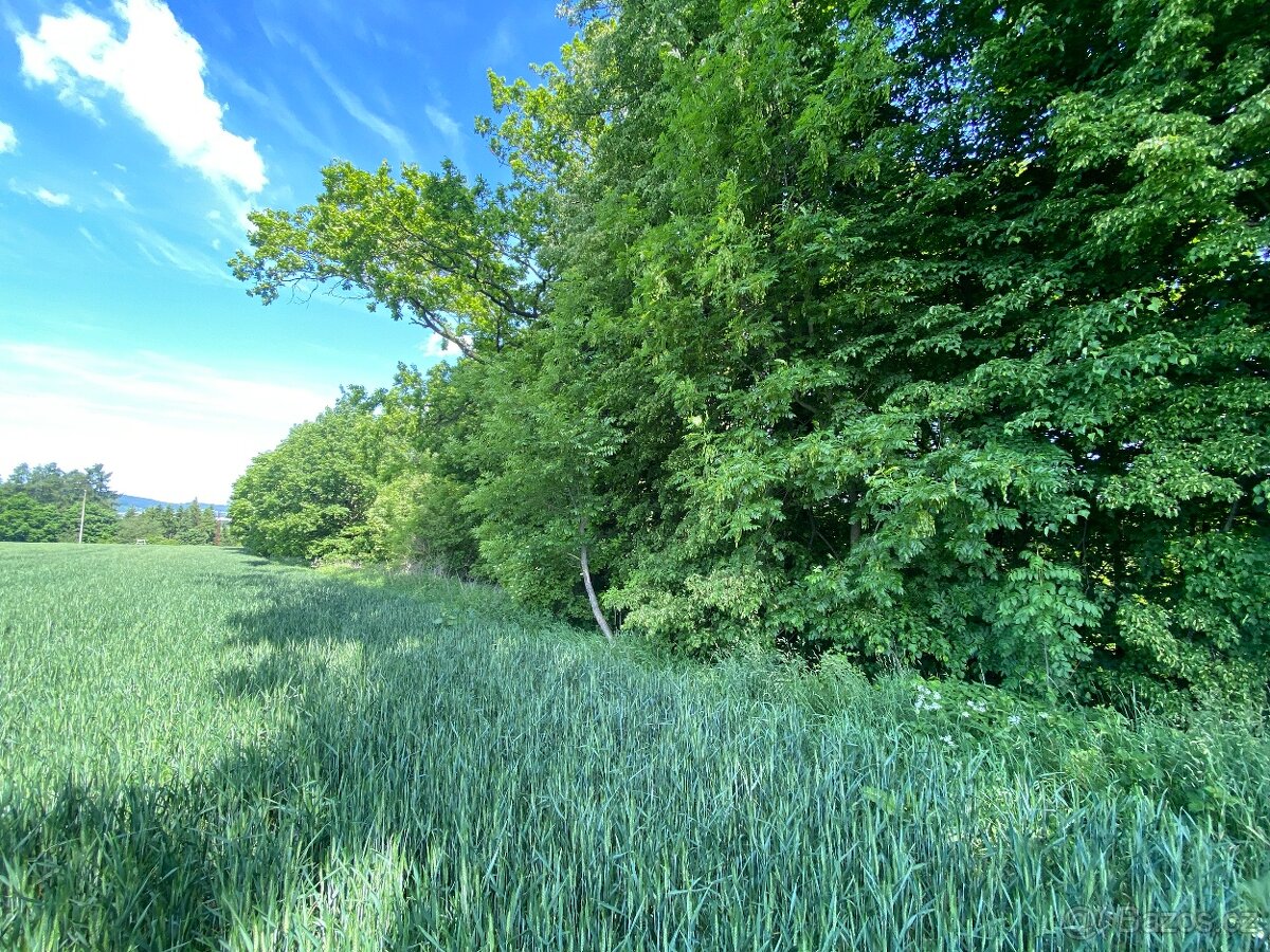 Lesní pozemek Třebovice