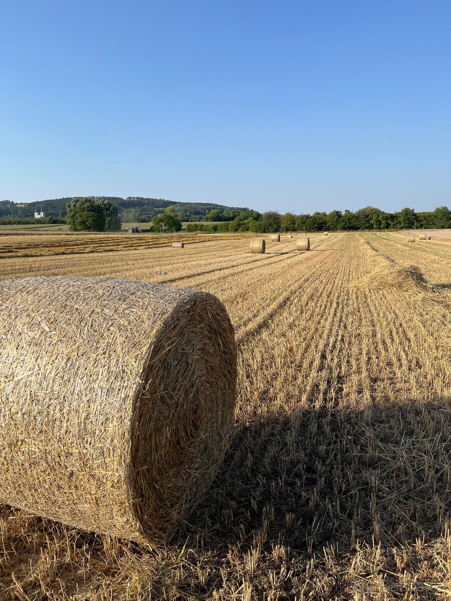 Sláma