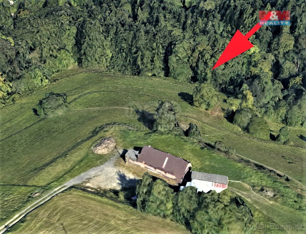 Prodej louky a lesa, 1670 m², Koberovy
