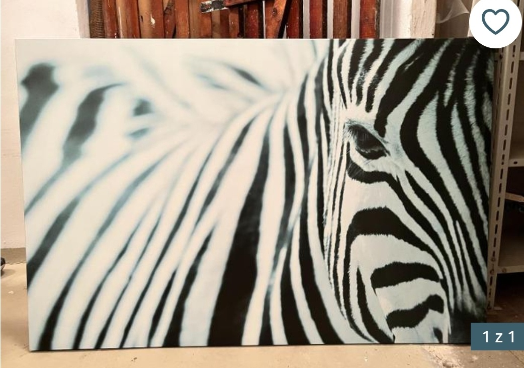 Moderni obraz IKEA zebra