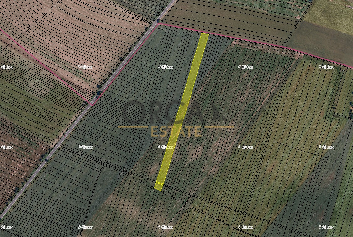 0,3 ha pozemků v k.ú. Holasice