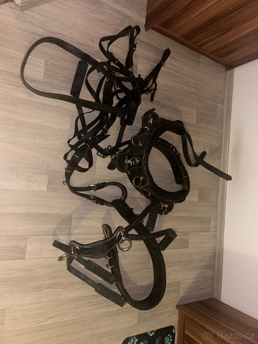 Postroj pro koně - vyměním nebo prodám