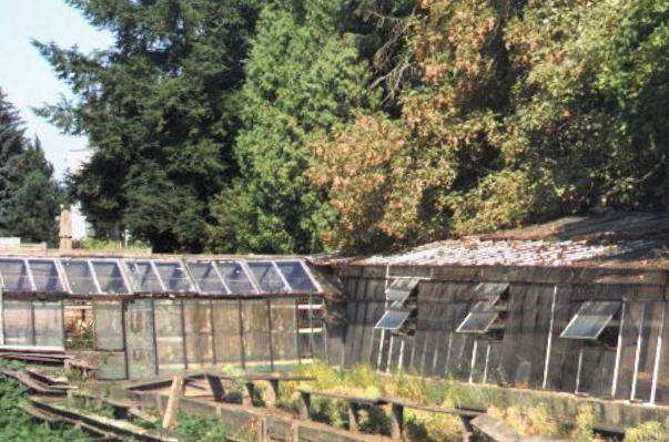 prodám skleník cca 15 x 3 m, levně