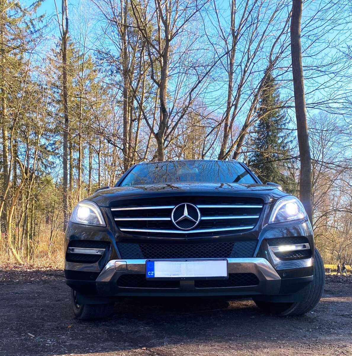 Mercedes Benz ML350