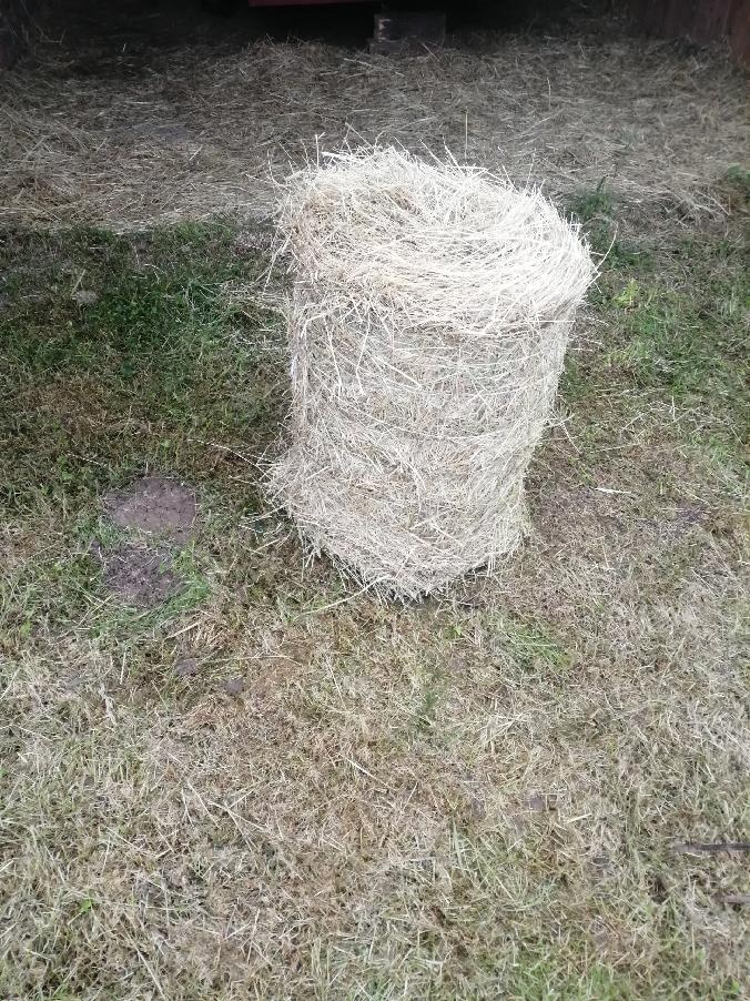 Prodám seno-malé kulaté balíky