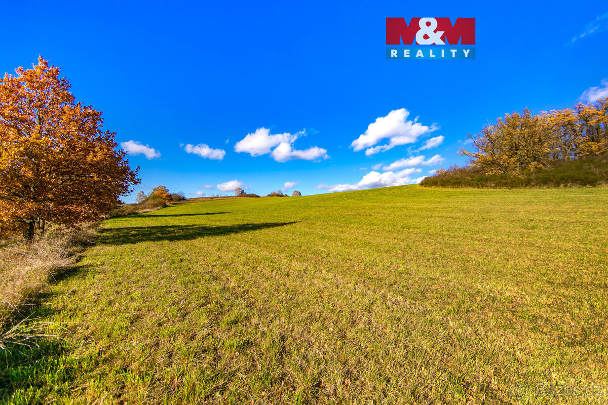 Prodej pole, 6484 m², Kolinec