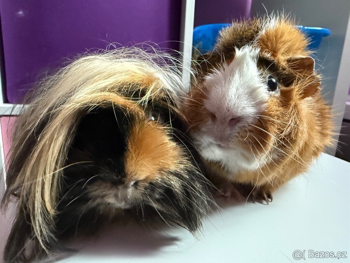 2 morcatka - kluci vcetne vybaveni