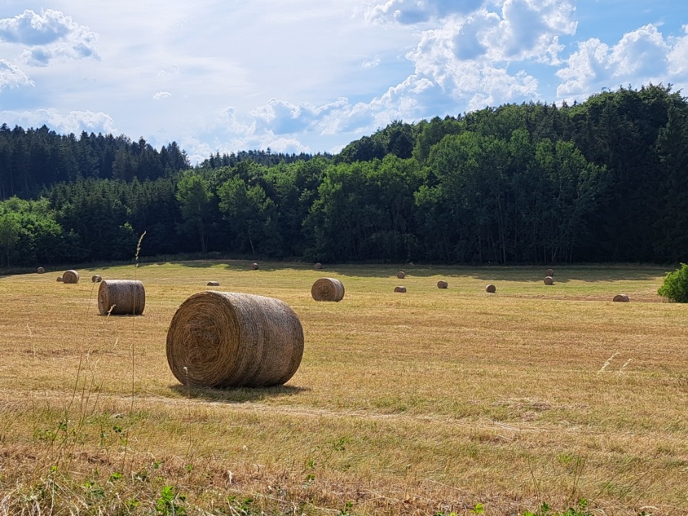 balíky sena
