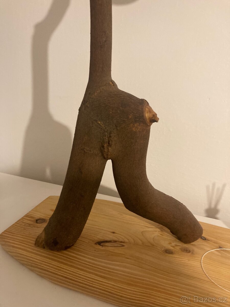 Věšák třeba na čapky.