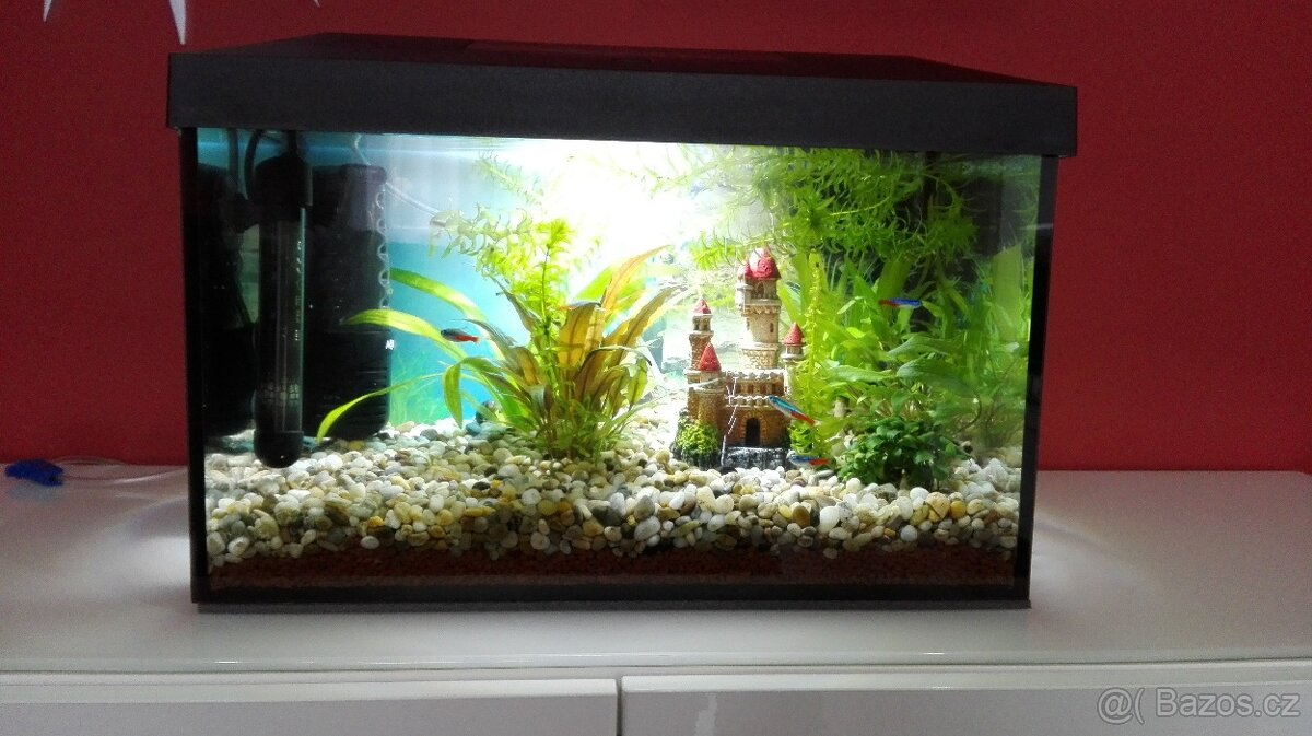 Aqarium, set Leddy 40