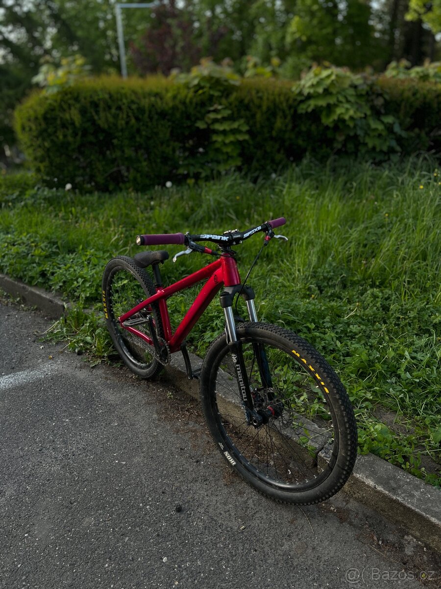 CTM DIRTKING