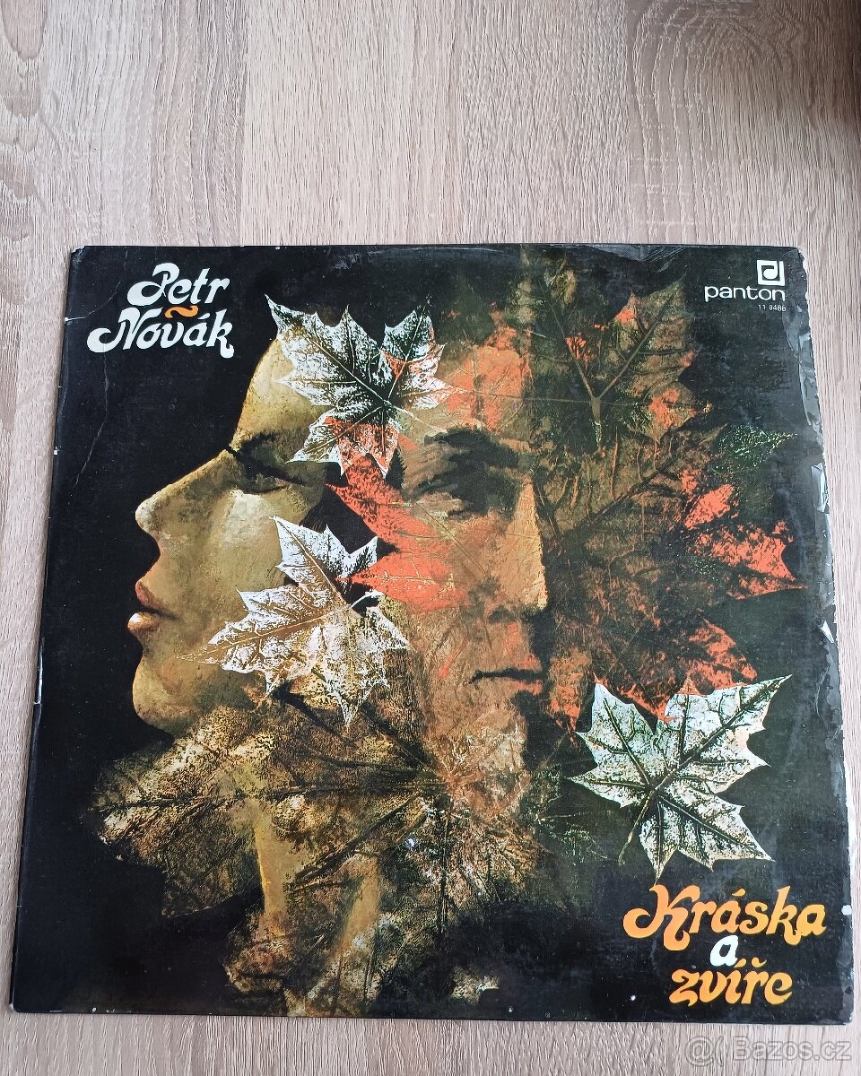 Prodám originální gramofonové desky (LP), [A]