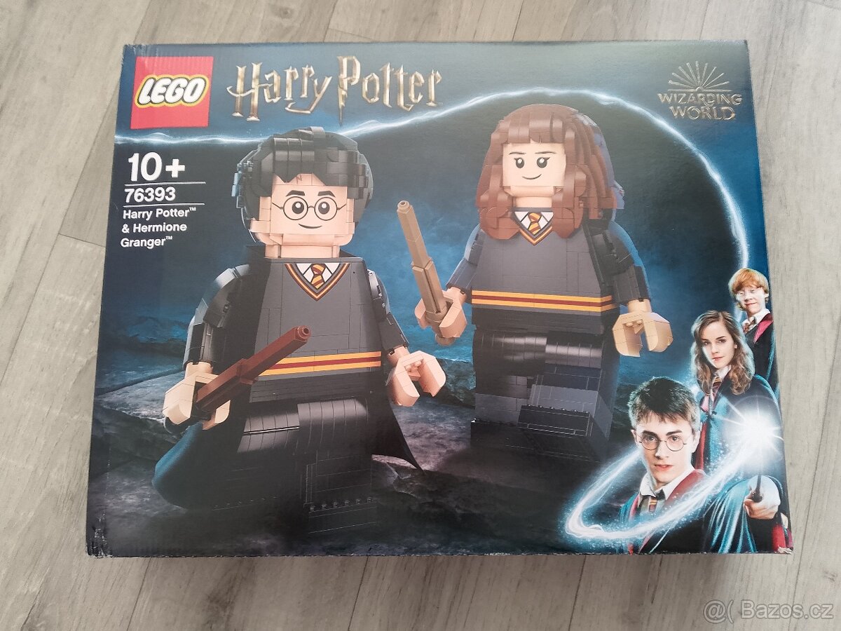 LEGO 76393 Harry Potter a Hermiona Grangerová
