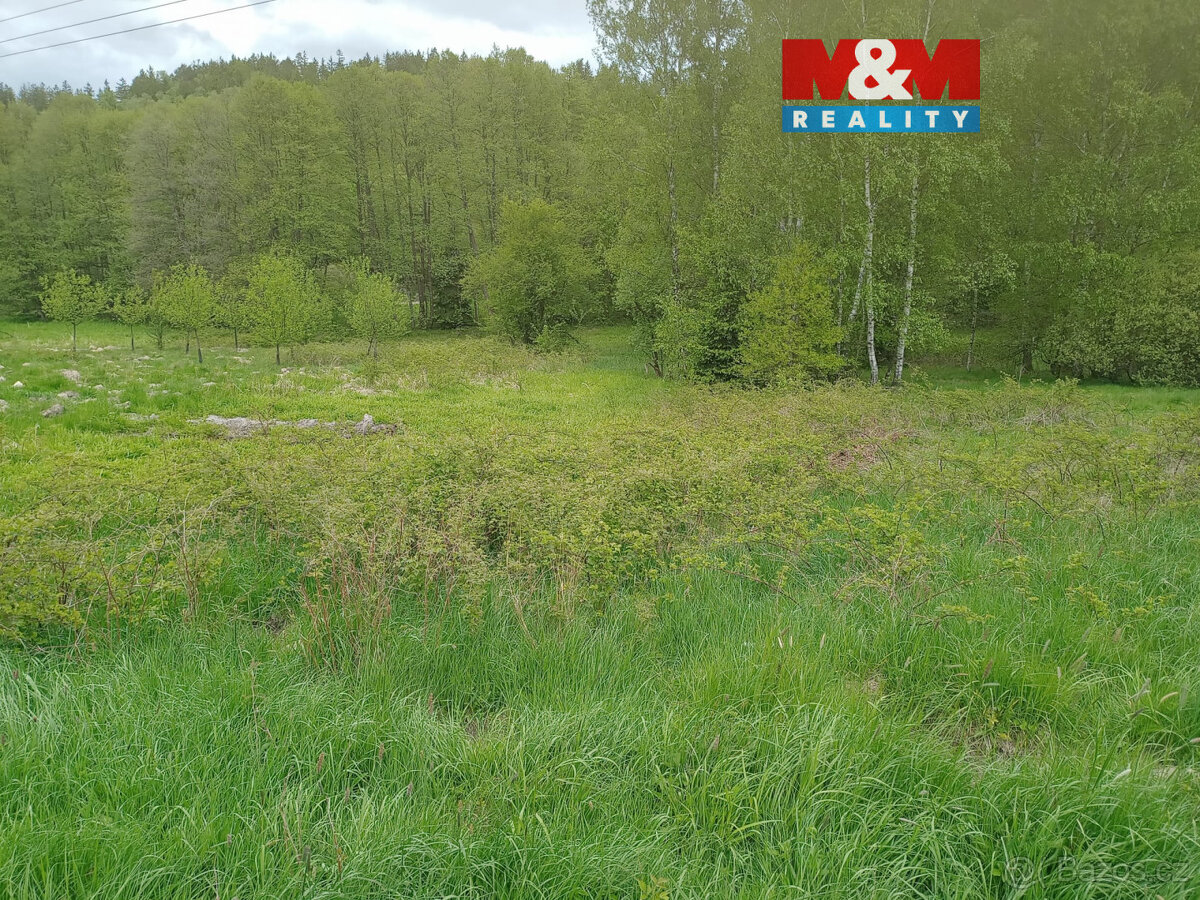 Prodej louky, 6962 m², Kořenov