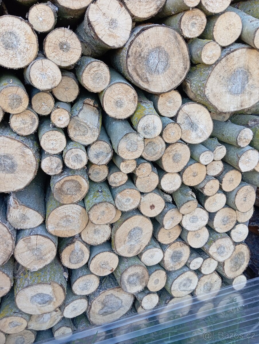 Japonský topol, topení, dřevo