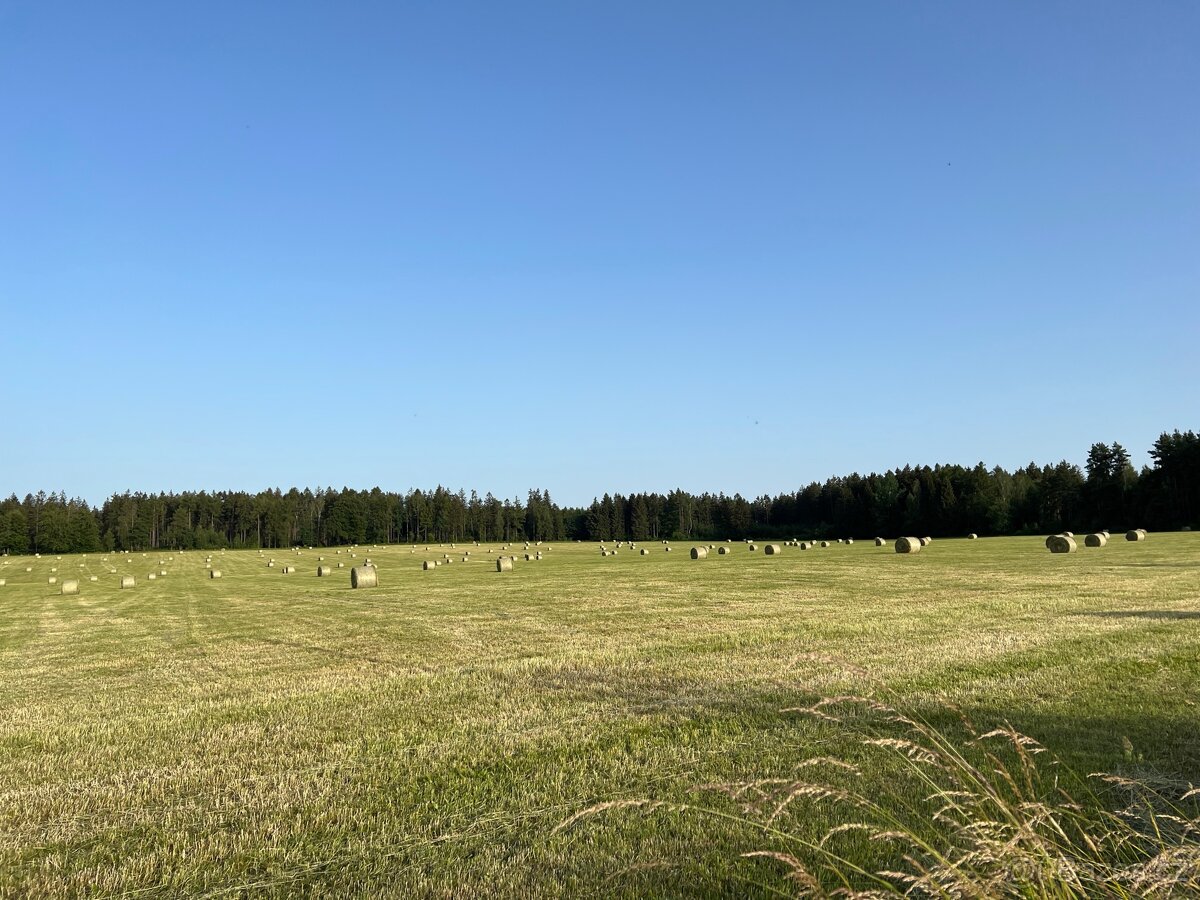 Seno, senaz z loňské sklizně v bio kvalitě
