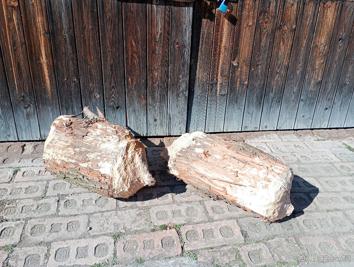 Lavice naporcované bobrem,origo zahradní posezení