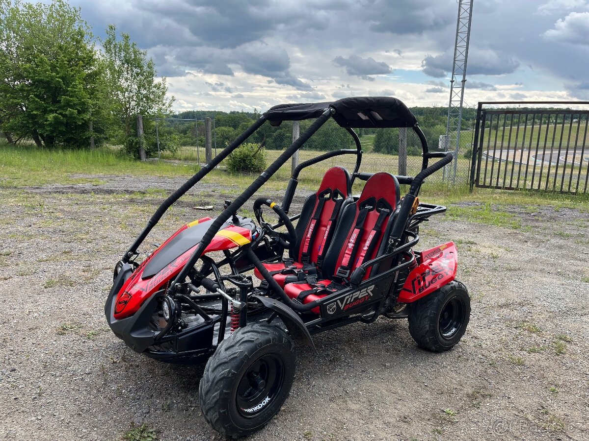 Viper Buggy