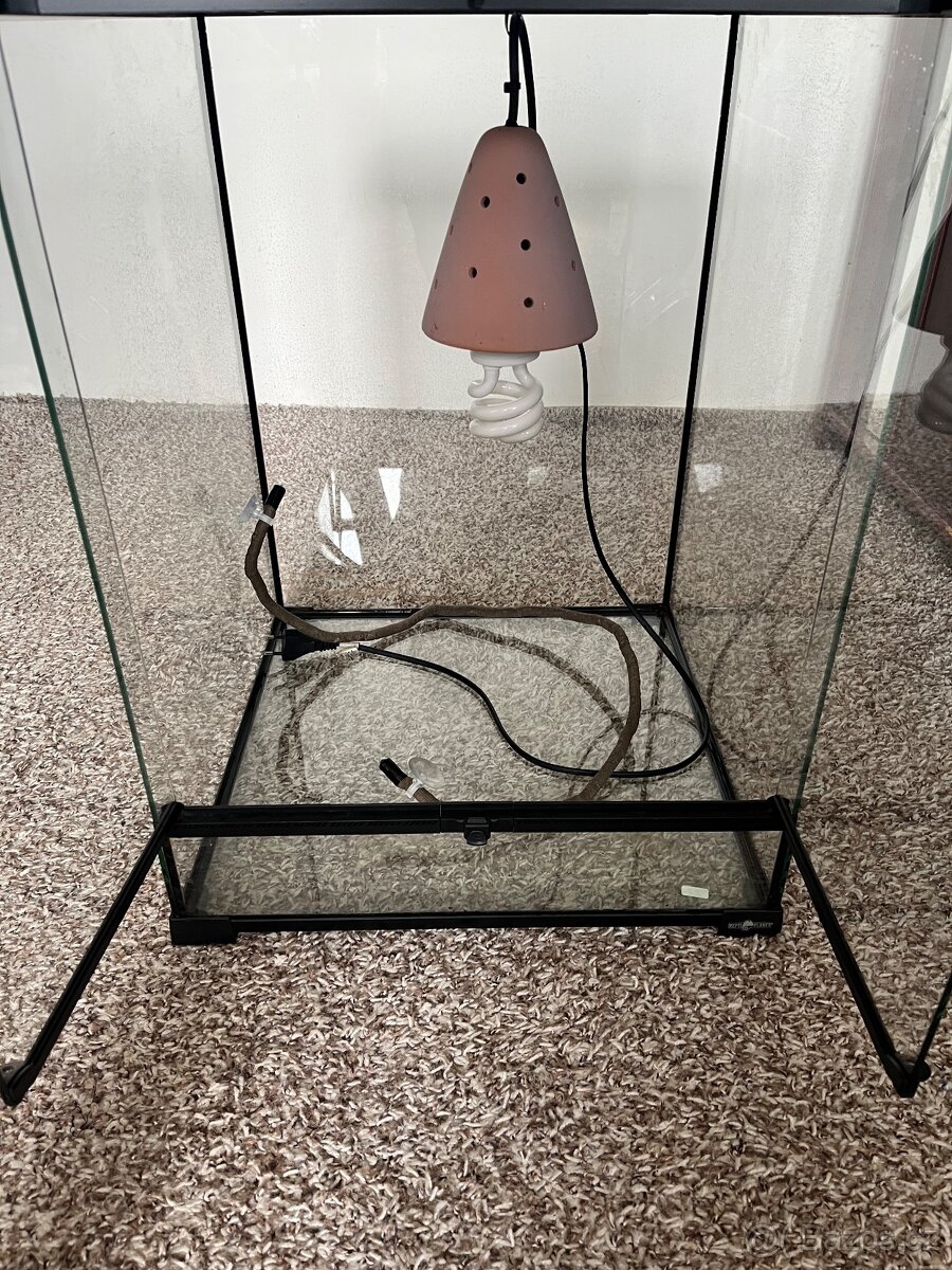 Terárium