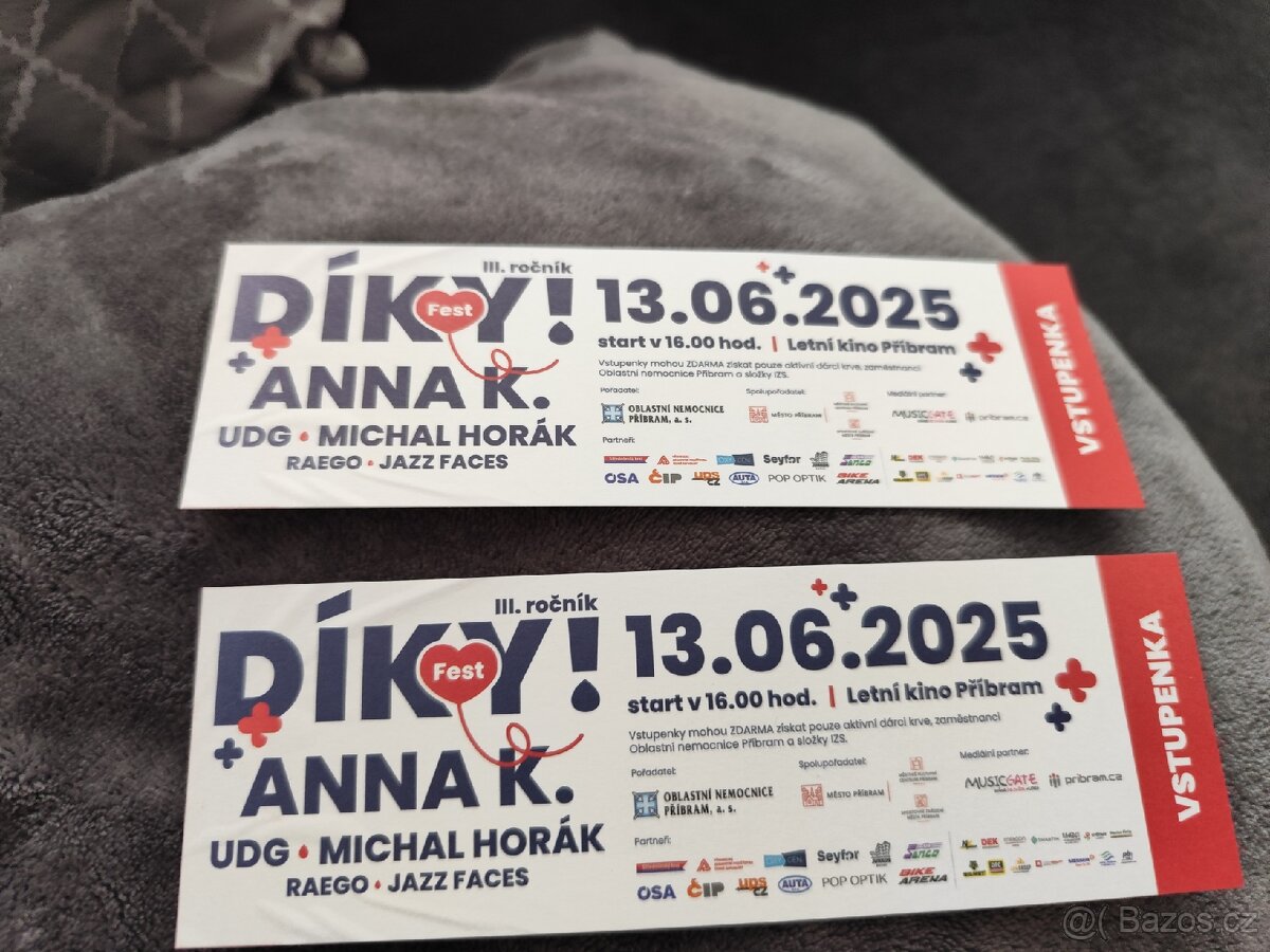 Díky Fest