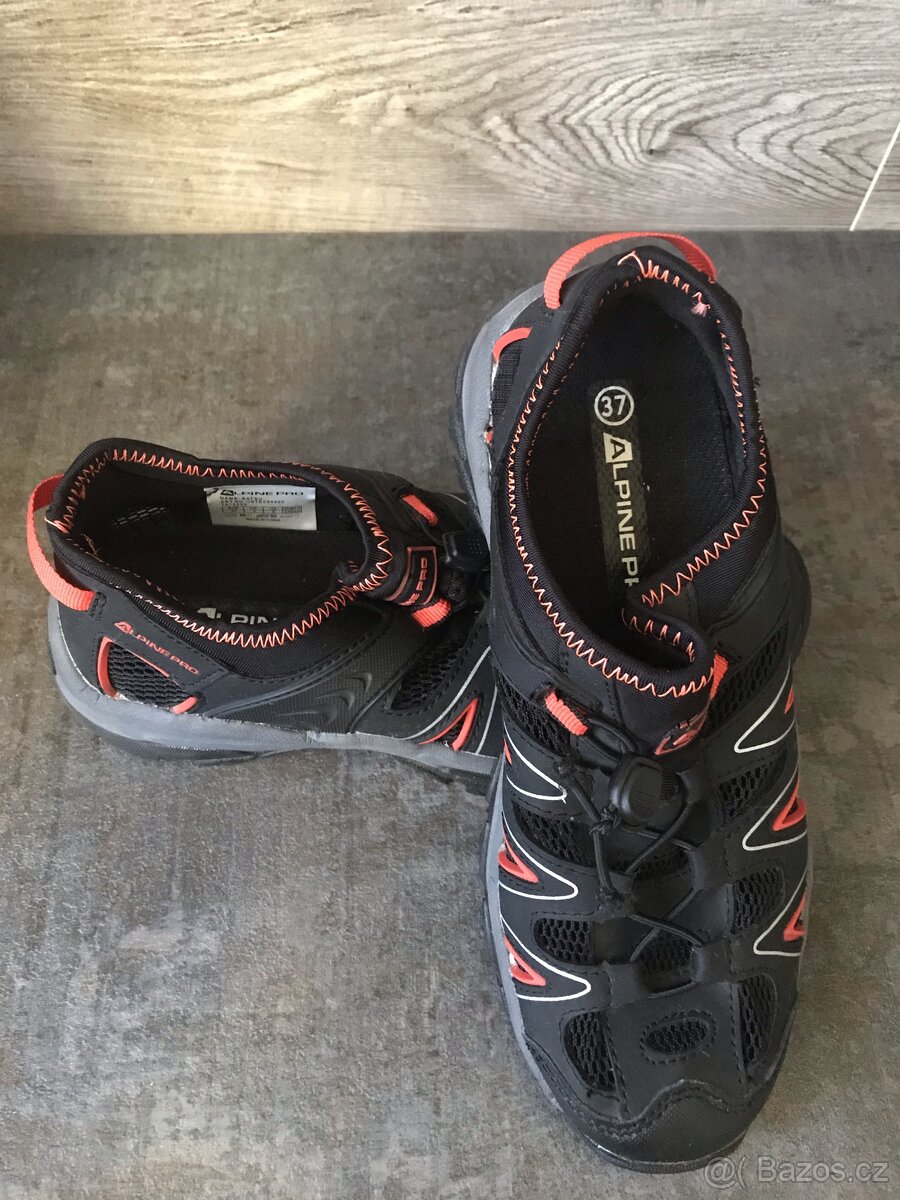 AlpinePro