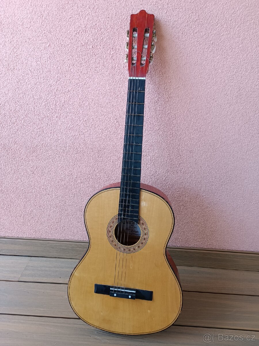 Kytara Giannini s obalem.