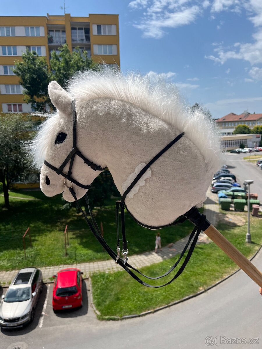 Hobby Horse