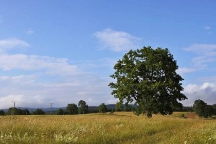 Zemědělské pozemky
