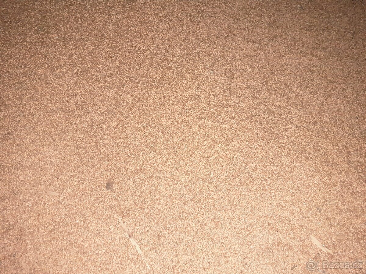 Prodám pšenici , ječmen, oves a štot