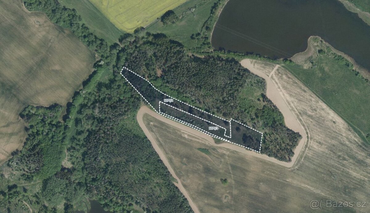 Zemědělská půda, prodej, Ptáčov, Třebíč