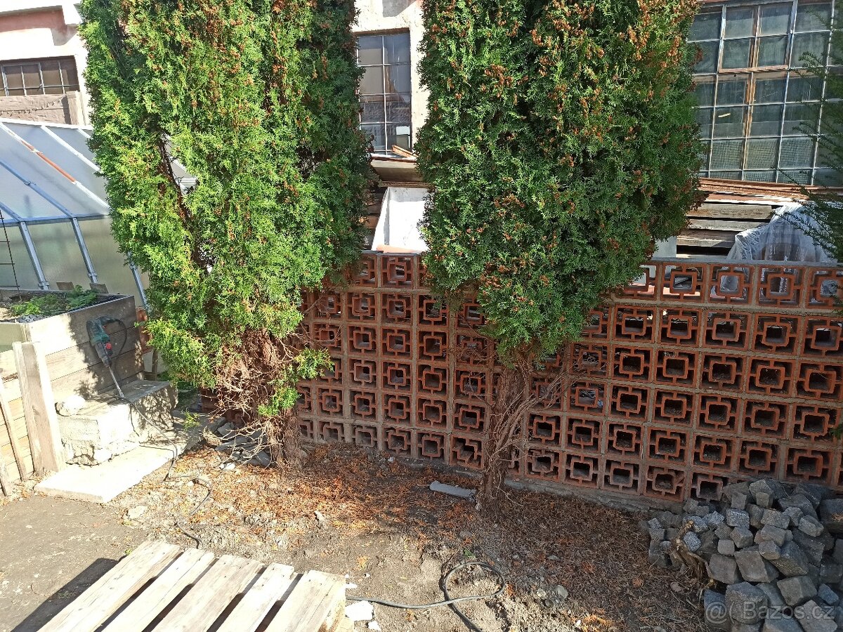 Plotové tvárnice (cihly)