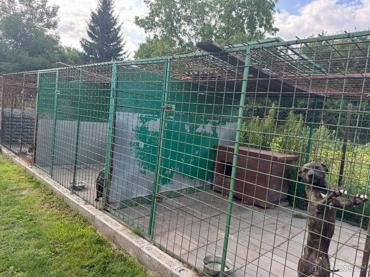 Prodám 3 kotce pro psy – pouze jako celek
