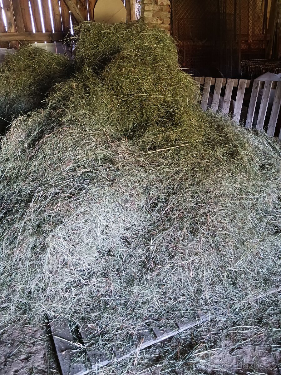 Ručně sušené seno