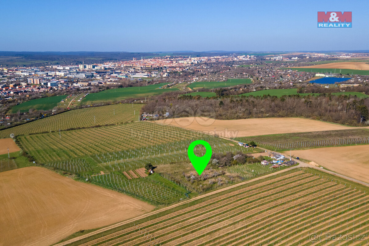 Prodej zahrady, 2462 m², Dobšice u Znojma