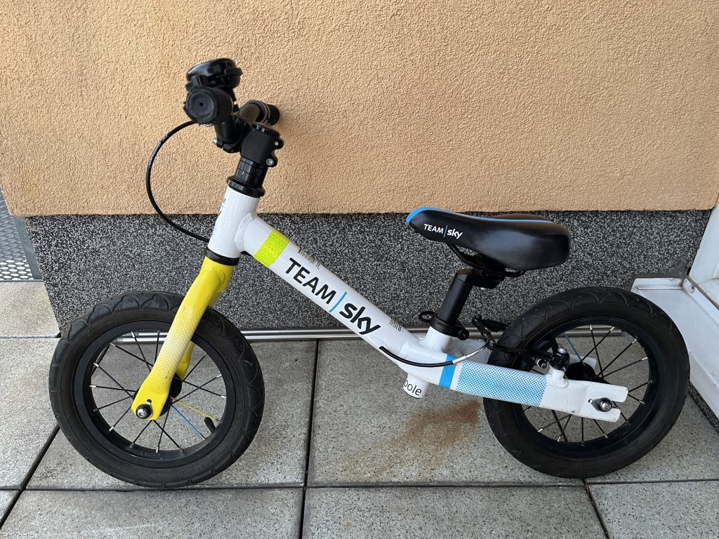 Dětské odrážedlo Frog 12" TADPOLE - Team Sky
